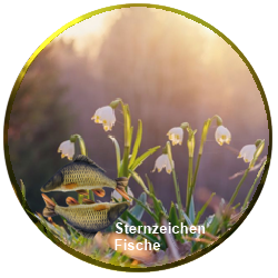 hier ein Bild